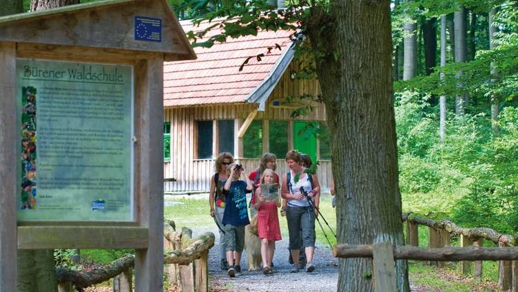 Waldschule Büren